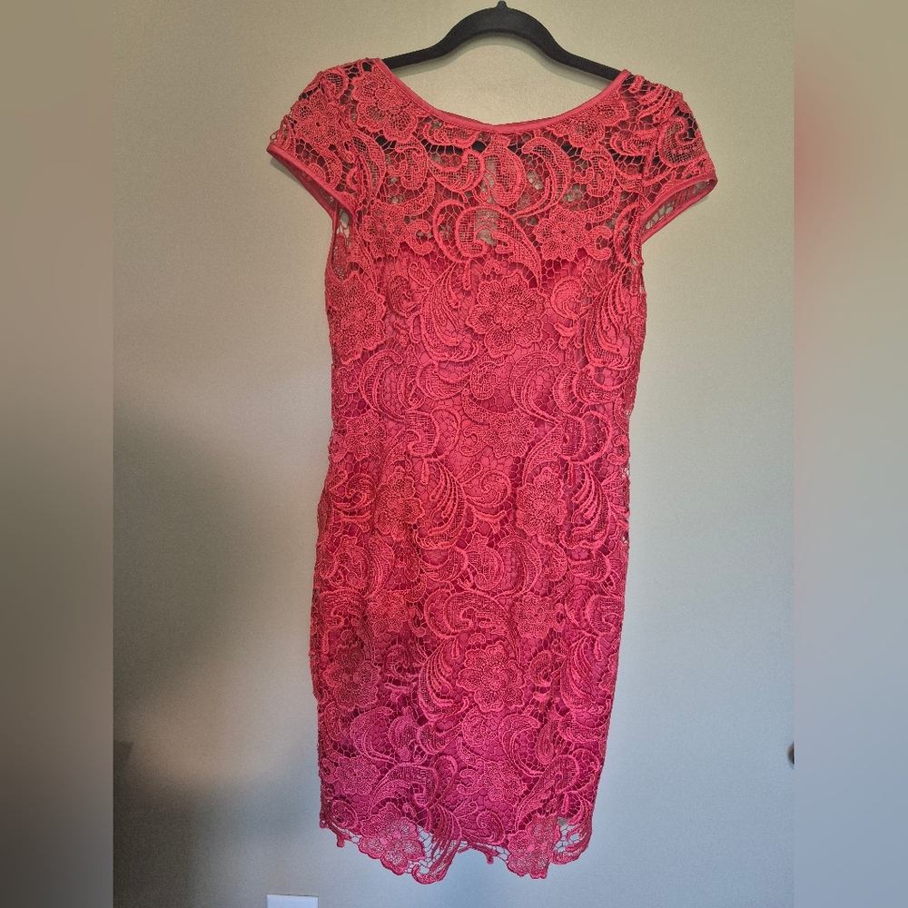 Lace Pink Dress